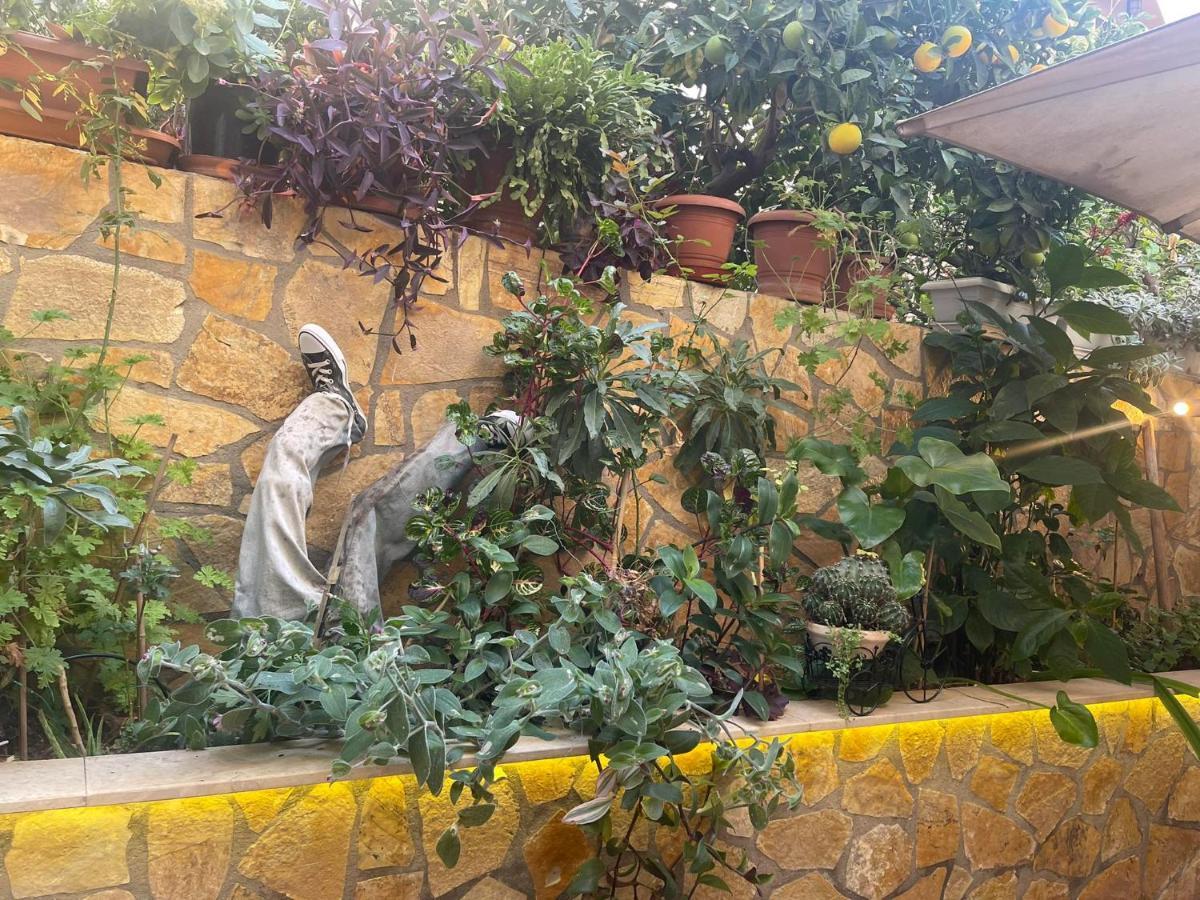 Eleonora'S Hidden Gem Apartment Athens Exterior photo